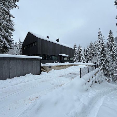 Chalet Dachstein Рамзау Экстерьер фото